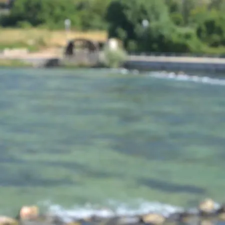 Stari *